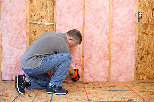 Best Insulation Maintenance and Repair in Johnson City, TN