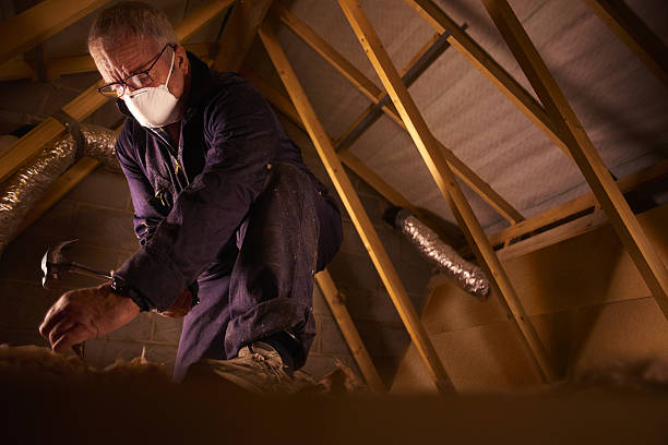 Best Energy Efficiency Solutions in Johnson City, TN